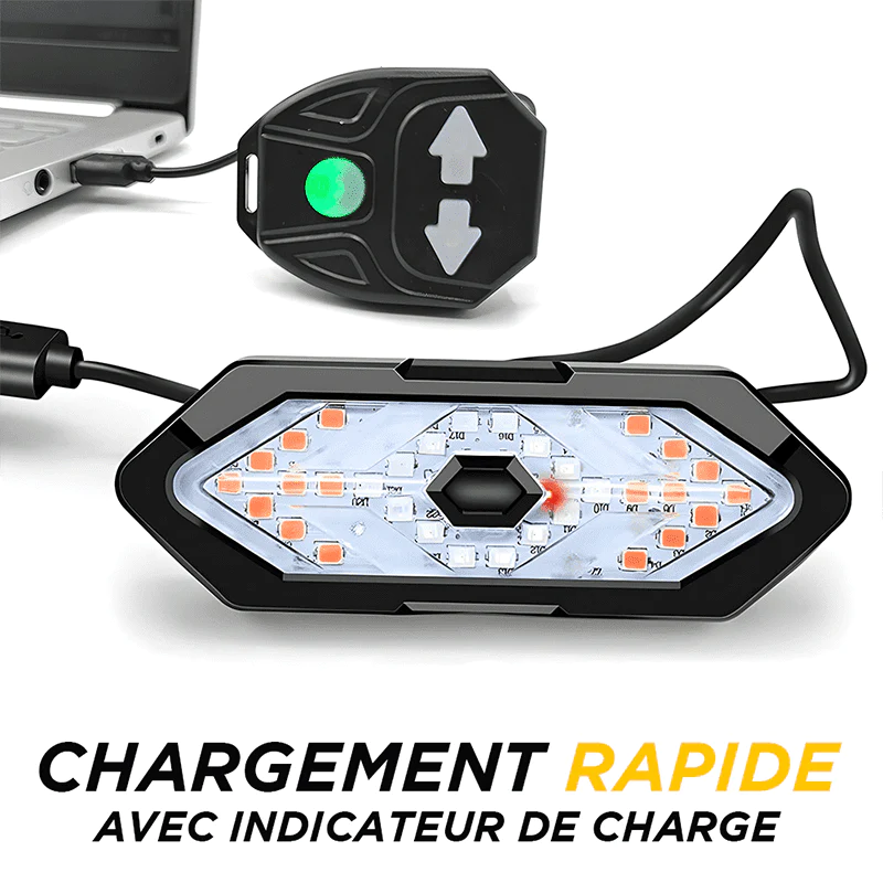 Powerful and Sound Beamy Bike Indicator Bike in Light